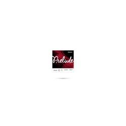 Cuerdas Daddario J810 4/4M